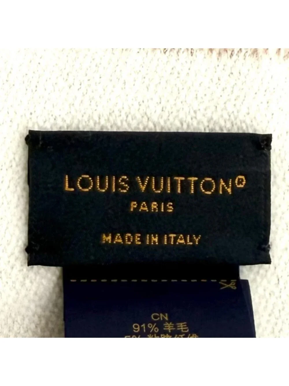 Louis Vuitton brand louis